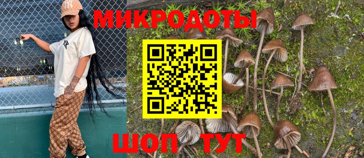 Реж  Галлюциногенные грибы Psilocybine cubensis  Вход с VPN 