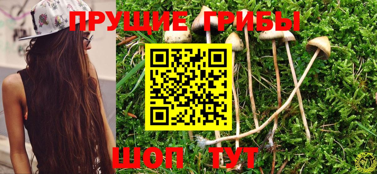 Марихуана  Реж  Alpha-PVP СК   Продажа наркотиков  МЕФ кристаллы  COCAIN  Гашиш  COCAIN  Вход с VPN 
